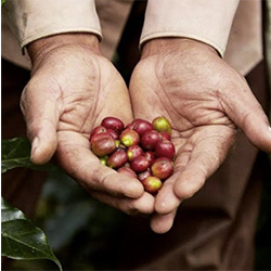 인스타그램 사진4