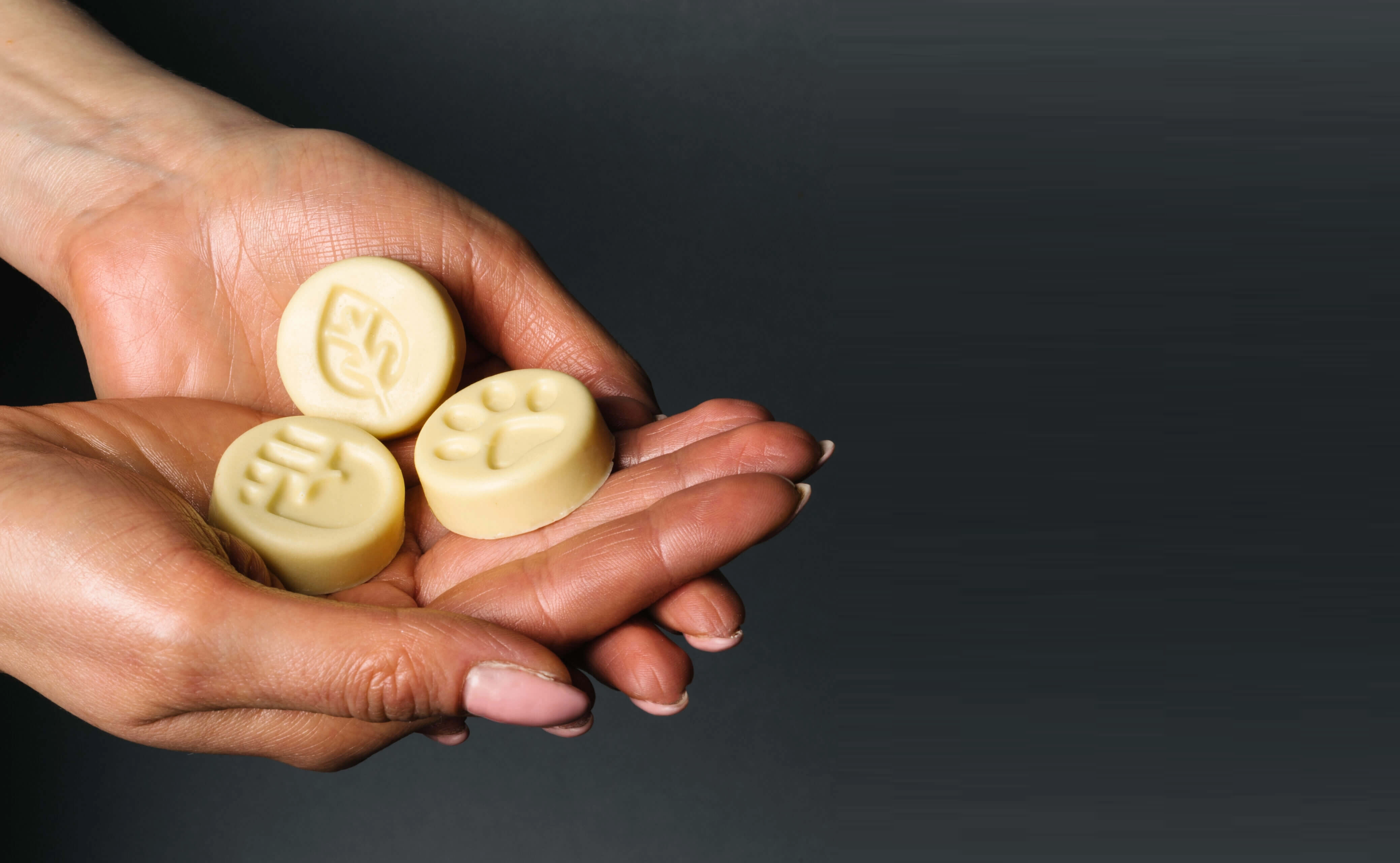 채러티 팟 이미지