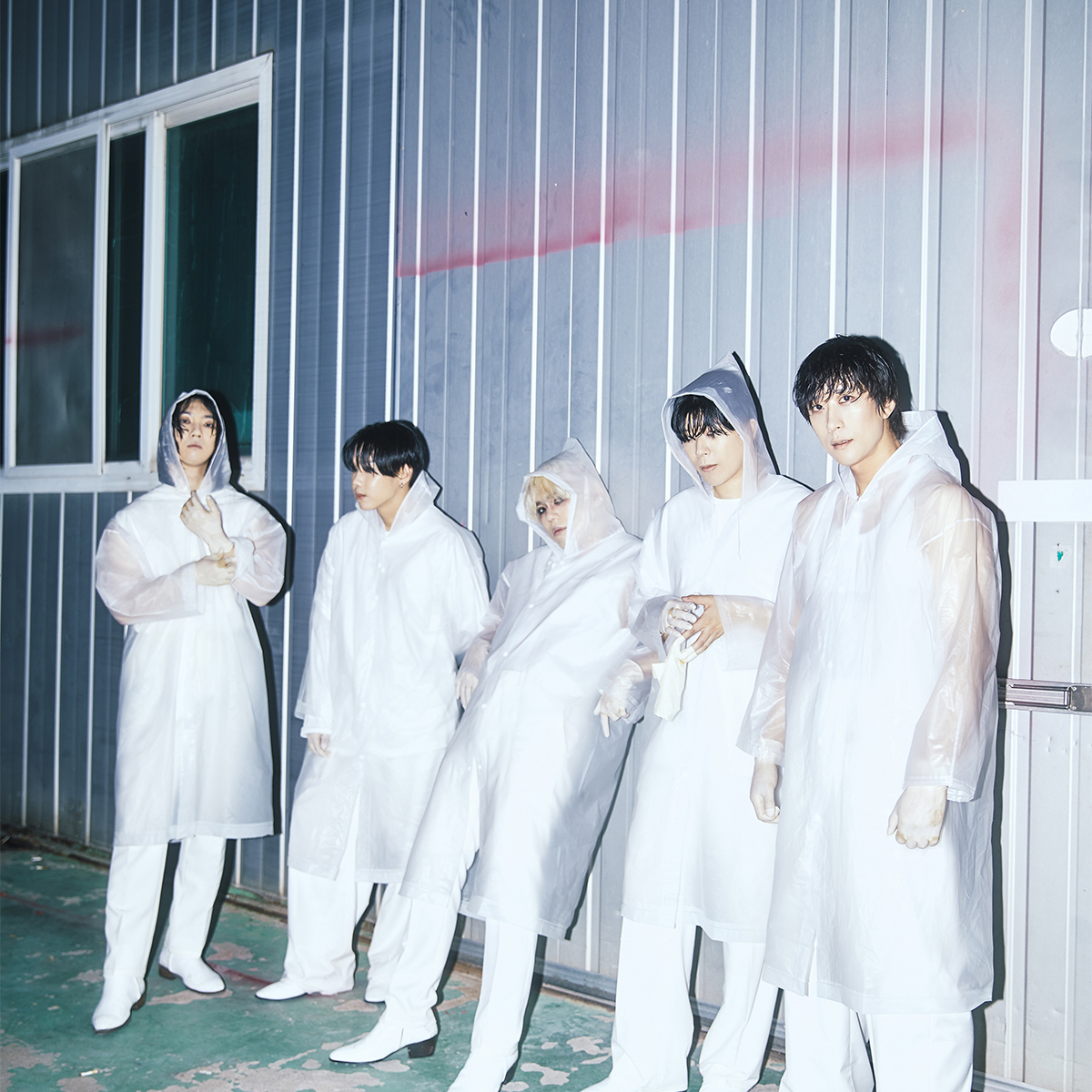 KAVE 아티스트 이미지