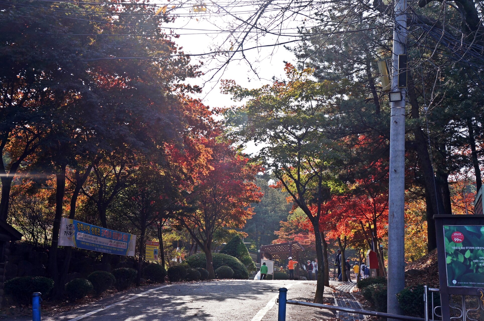 마니산 치유의 숲 이미지